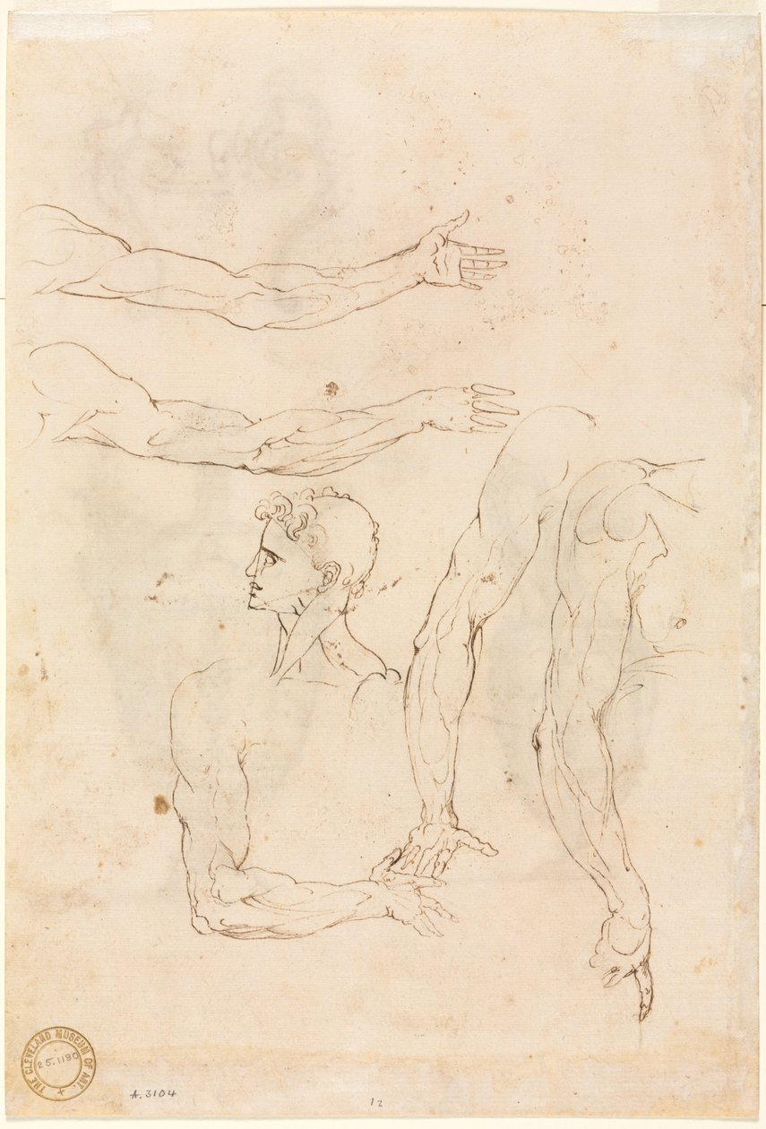Skisser av fem armer og et hode (verso) av Luzio Romano