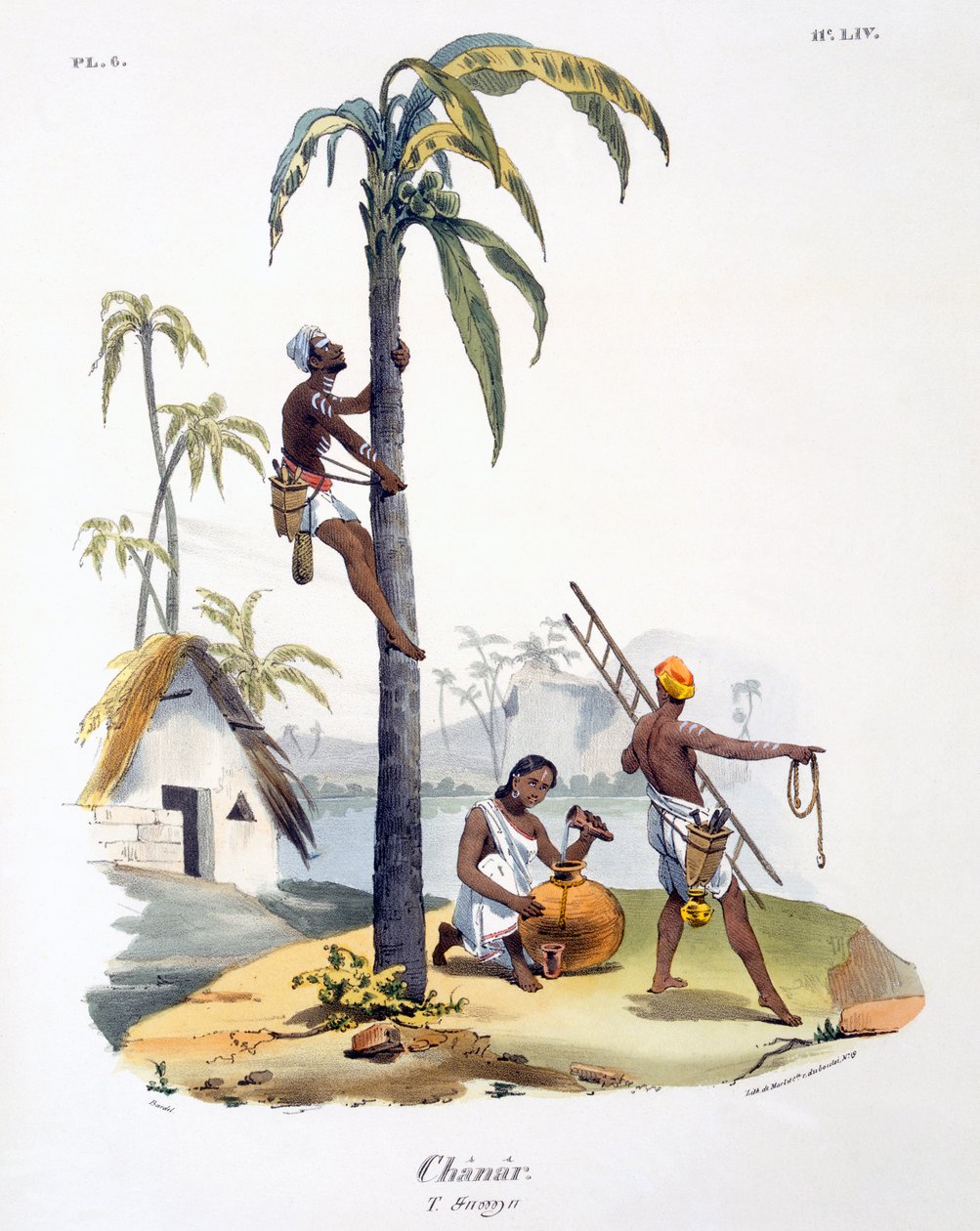 En mann fra Nadar-kasten som klatrer i et palmetre, 1827-35 av M.E. Burnouf