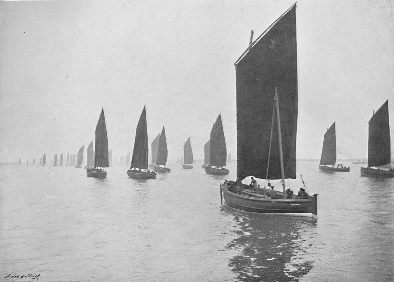 Sildebåter utenfor Tyne, c1896 av M. Aunty