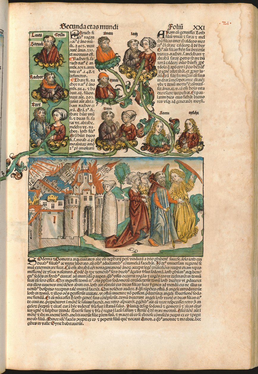 Labans slektstre, fra Nürnberg-krøniken av Hartmann Schedel (1440-1514) trykt i 1493 (tresnitt) av M. and Pleydenwurff W. Wolgemuth