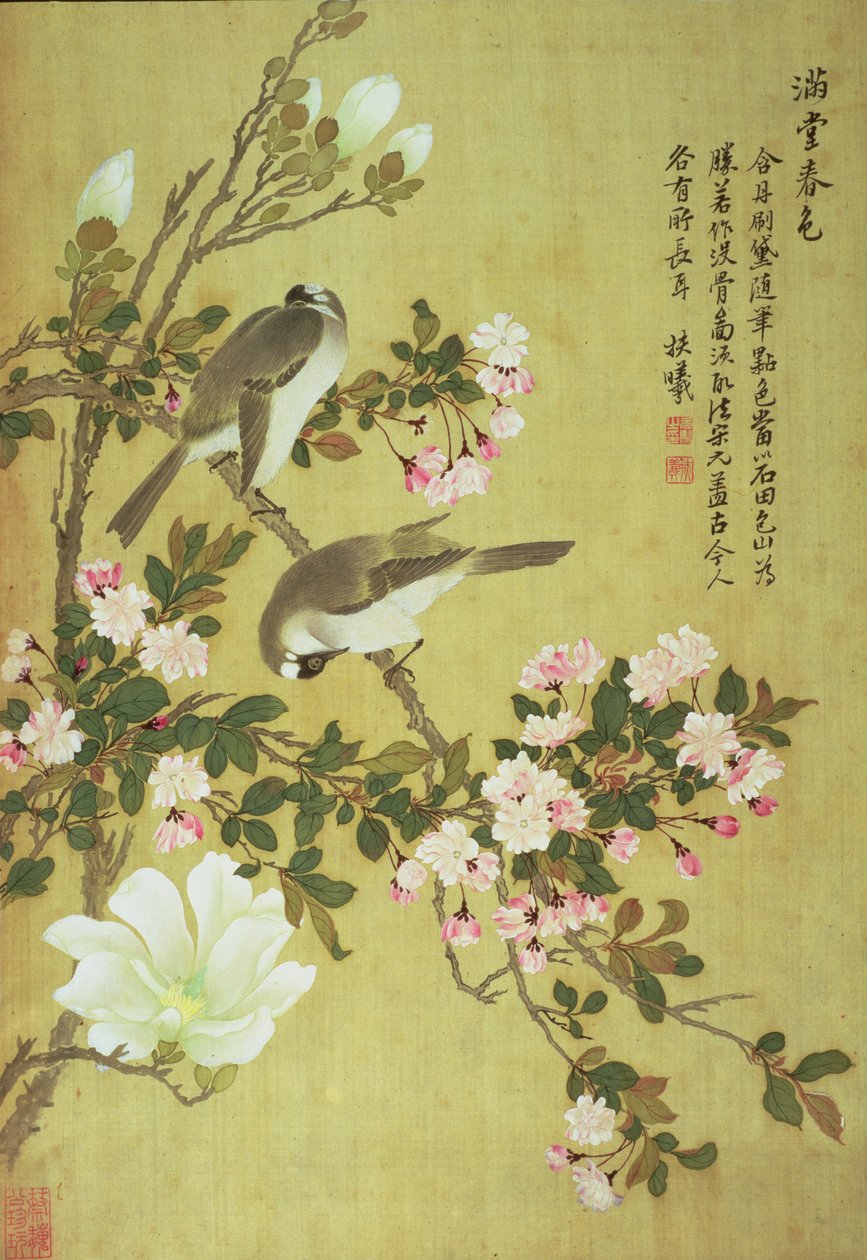 Crabapple, Magnolia og Baitou fugler av Ma Yuanyu