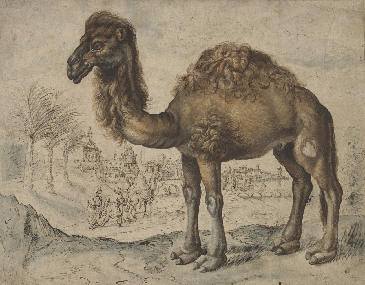 Dromedar i et østlig landskap med en by, 1600 (blekk og pensel på papir) av Maarten de after Vos