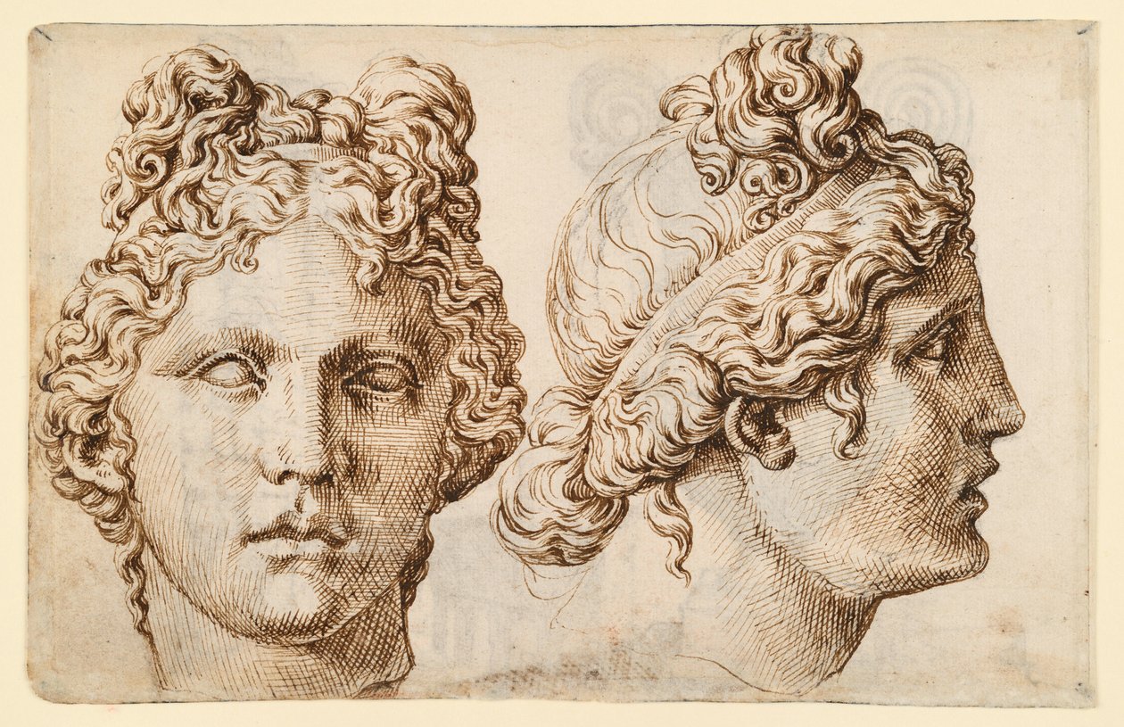 To studier av et antikt hode av Maarten van Heemskerck