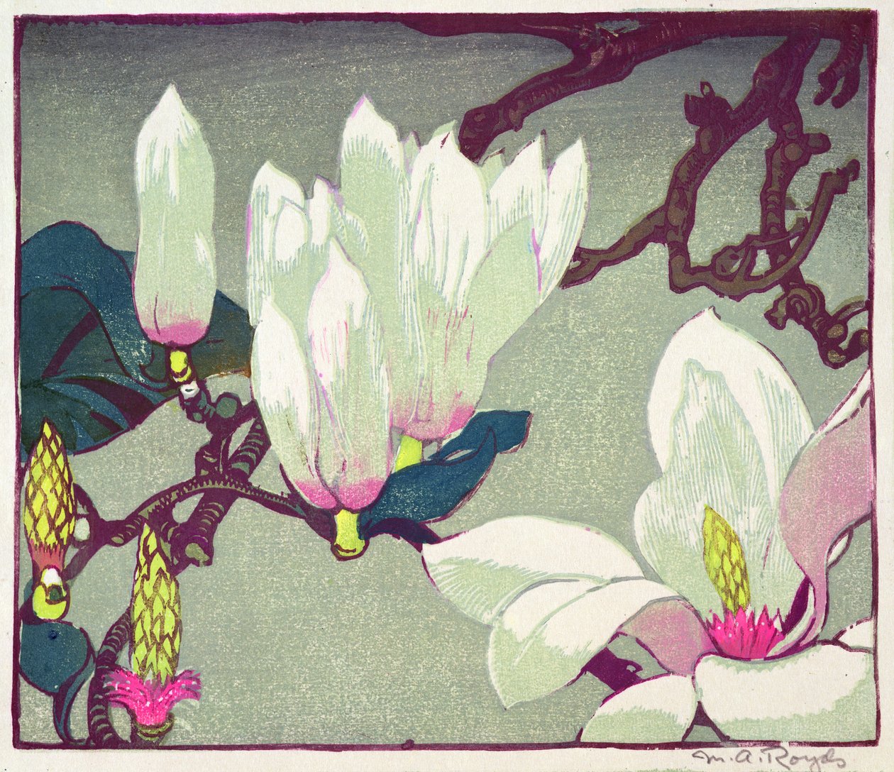Magnolia, ca. 1925 (treblokktrykk) av Mabel Royds