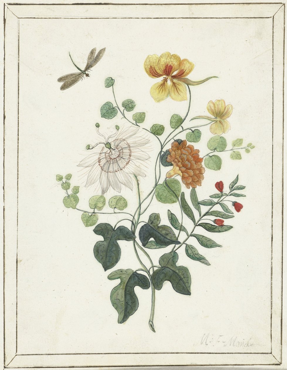 Stilleben av blomster av Machtelt Moninckx