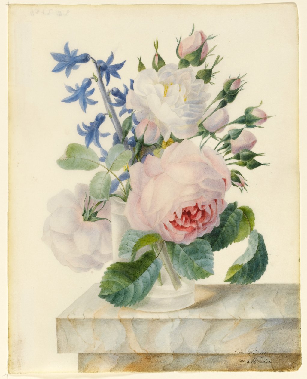Vase som inneholder en centifolia og en alba rose, med knopper og en hyasint på en marmor brystning (grafitt og wc på vellum) av Madame de Ligny
