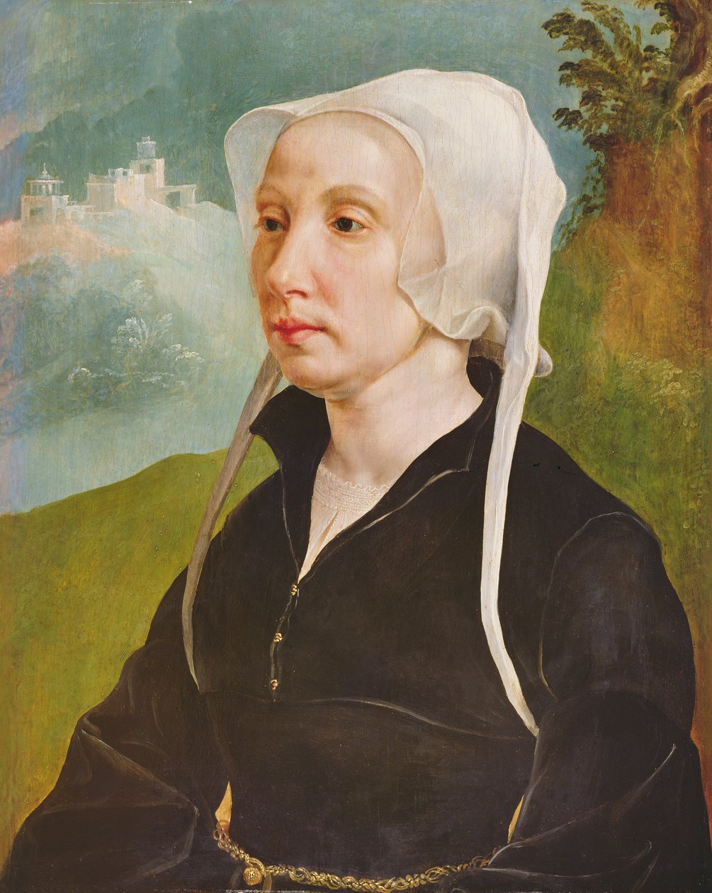  av Maerten van Heemskerck