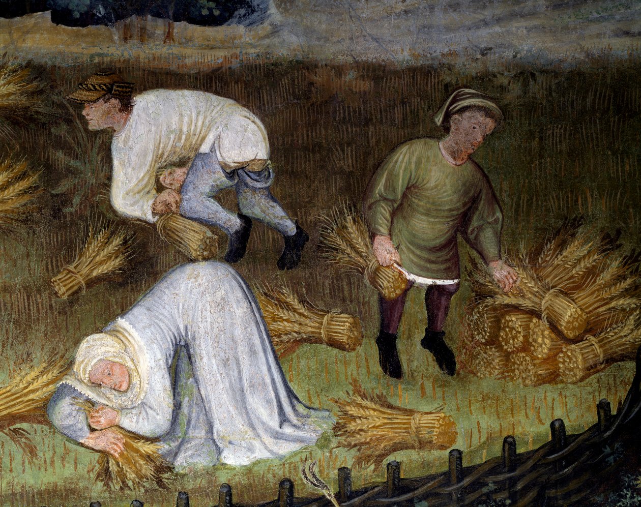 Hvetehøsting, detalj fra August måneds syklus månedene av Maestro (attr. to) Venceslao