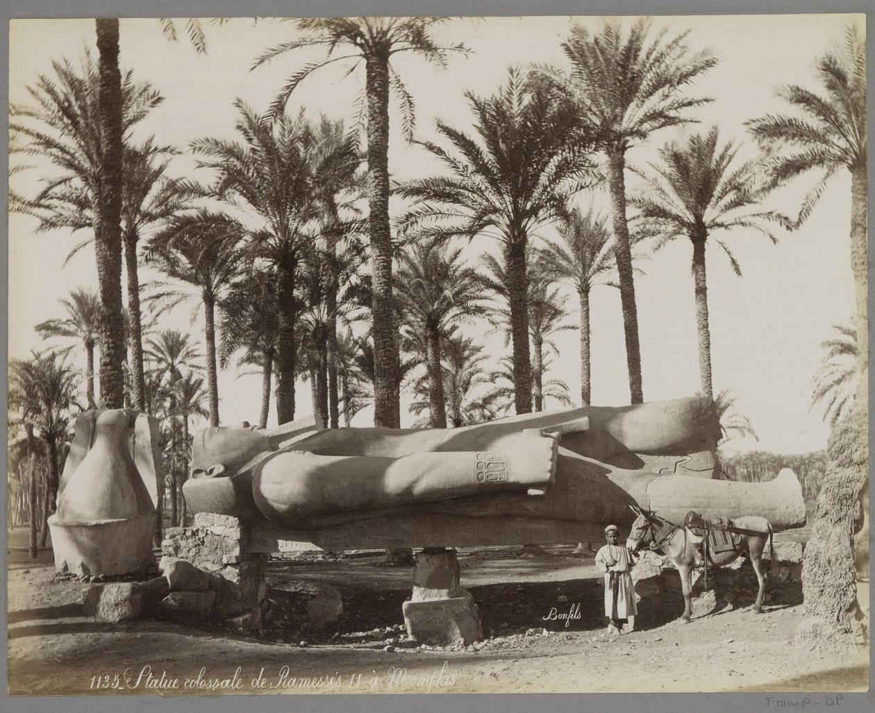 Liggende statue av Ramses II i Memphis, i forgrunnen en gutt med et esel Statue colossal de Ramesses II à Memphis (tittel på objekt) av Maison Bonfils