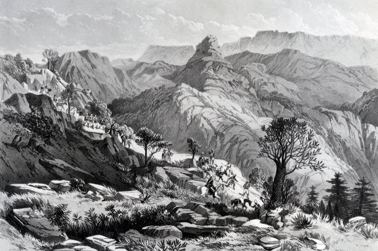 På marsj nær Dongolo, gravert av James Ferguson, 1868 av Major A.G.F. Hogg