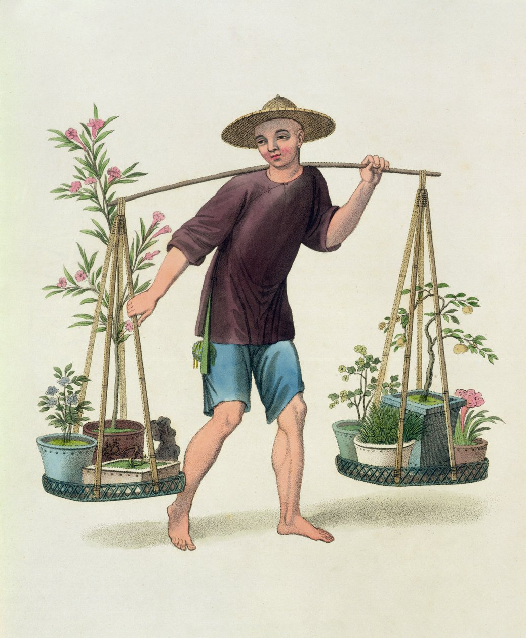 A Porter with Fruit Trees and Flowers, plate 16 fra 