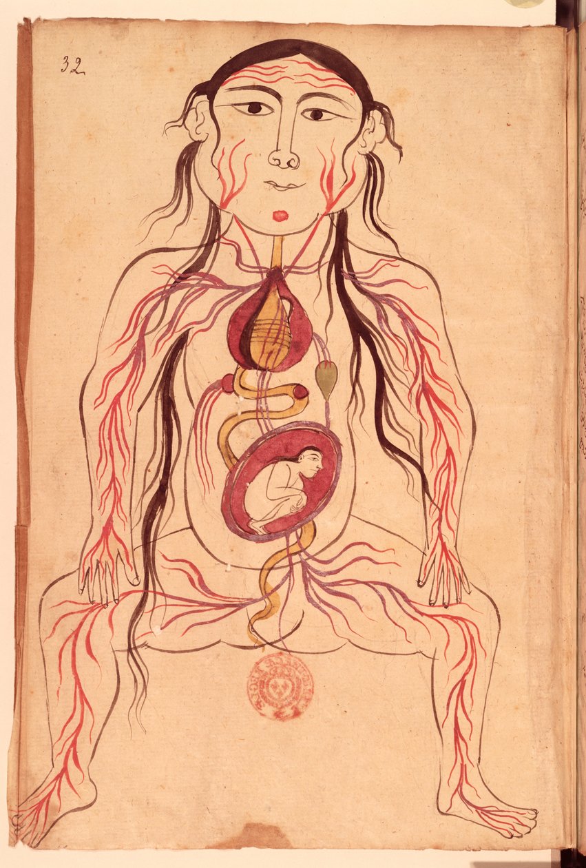 Ms Persan 151 Fol.32 Anatomisk diagram av en kvinne og hennes foster av Mansour b. Eliyas Chirazi