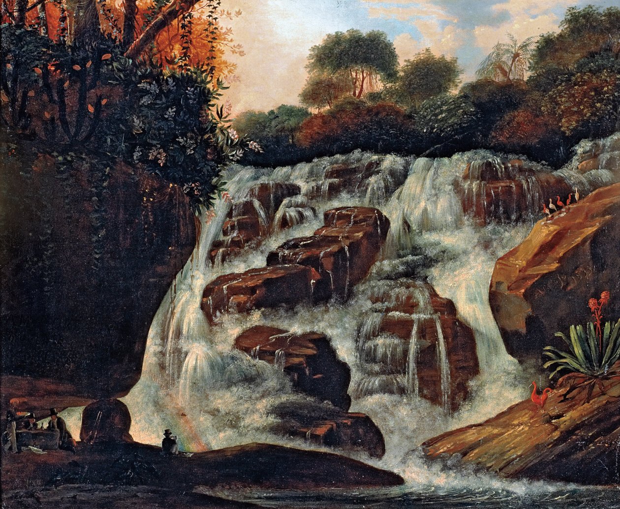 Stor Tijuca -foss av Manuel Araújo de Porto Alegre