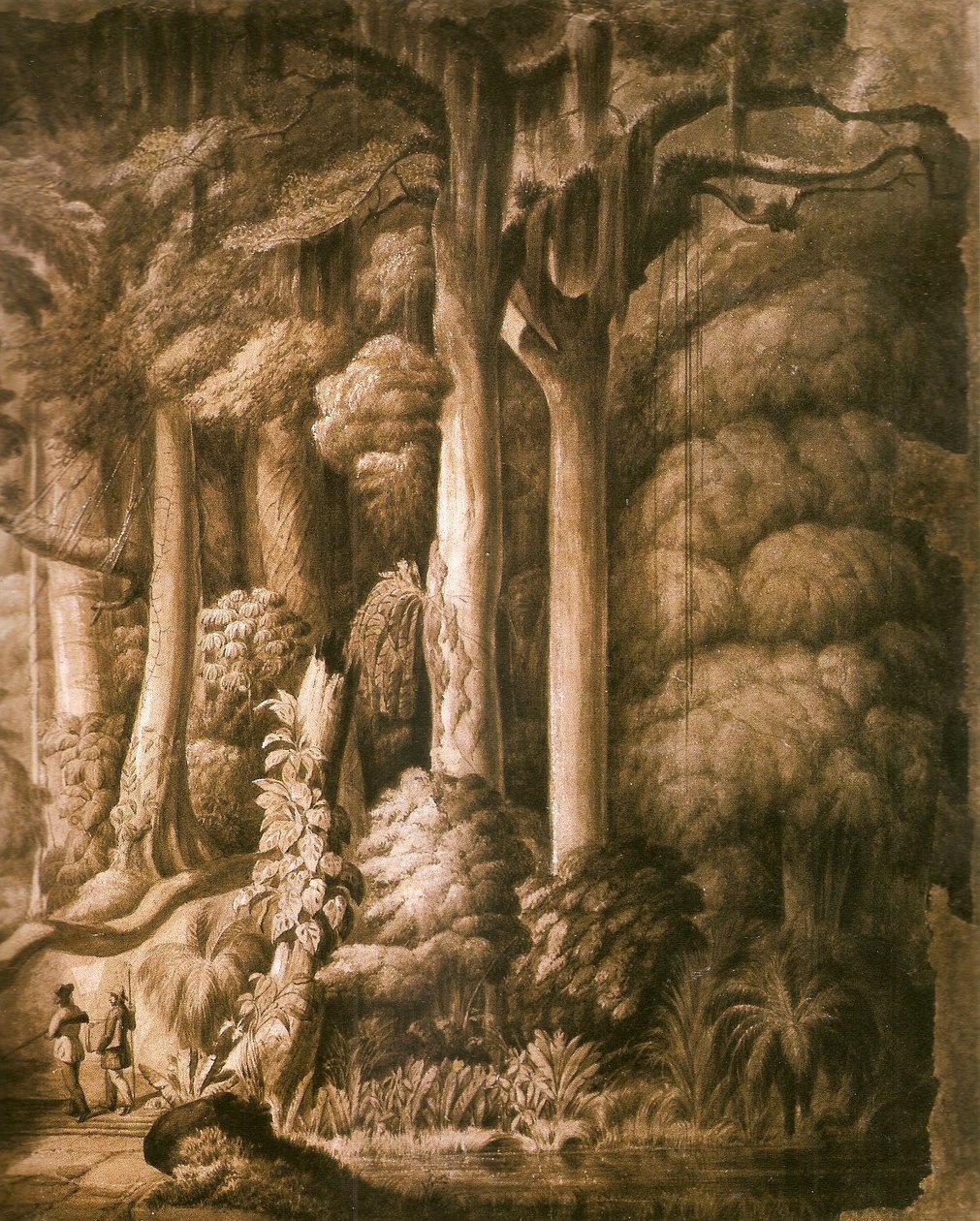 Brasiliansk skog detalj av Manuel Araújo de Porto Alegre