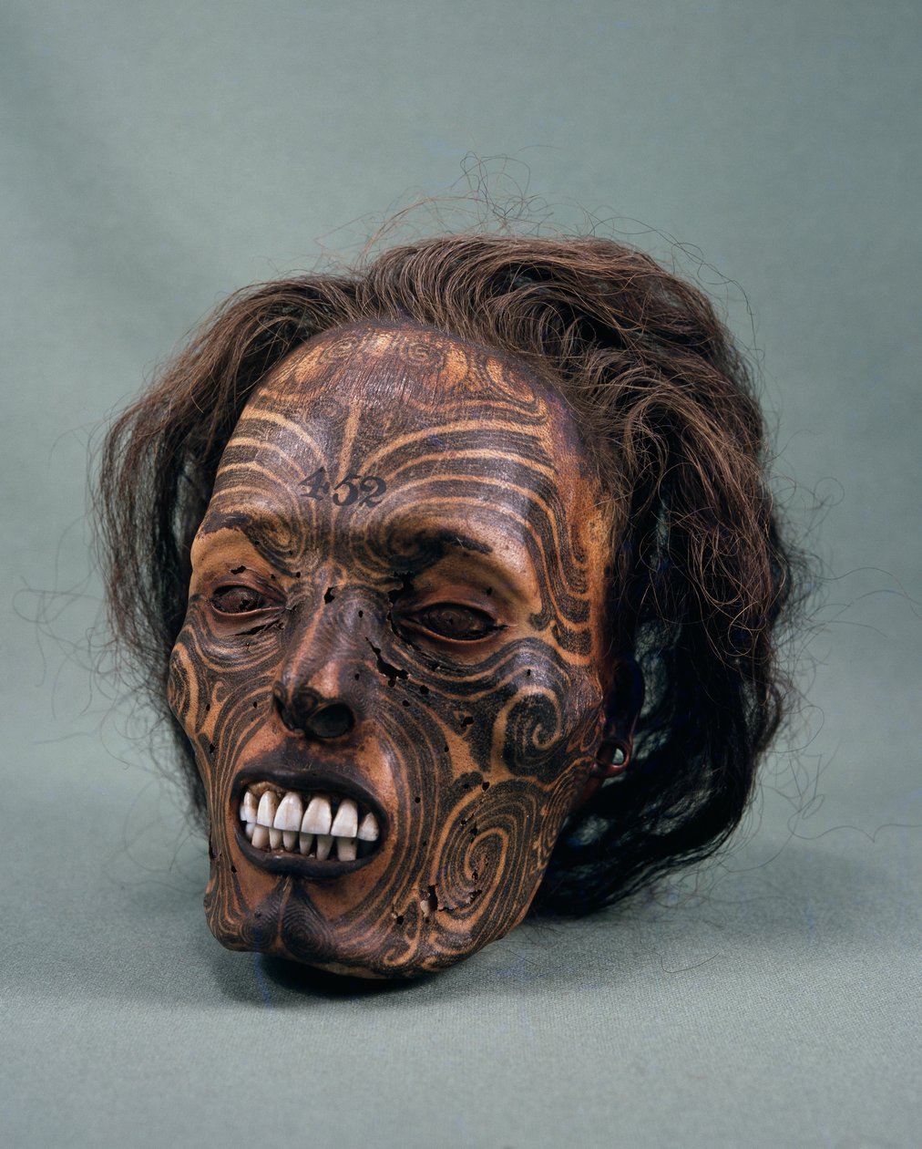 Stammesjefens hode, tatovert og mumifisert, maori-sivilisasjon av Maori Maori