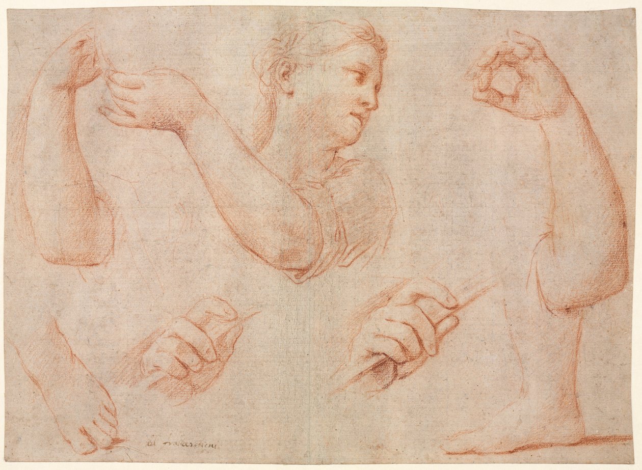 Studie av en ung kvinne som spiller en tamburin, og studier av en arm, hender og føtter..., ca. 1711. av Marcantonio Franceschini