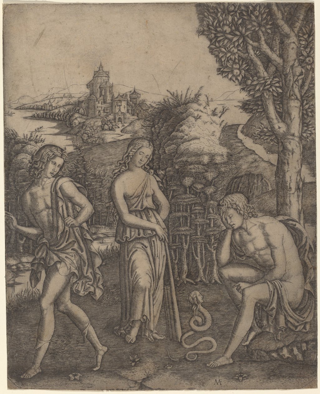 Slang som taler til en ung mann av Marcantonio Raimondi