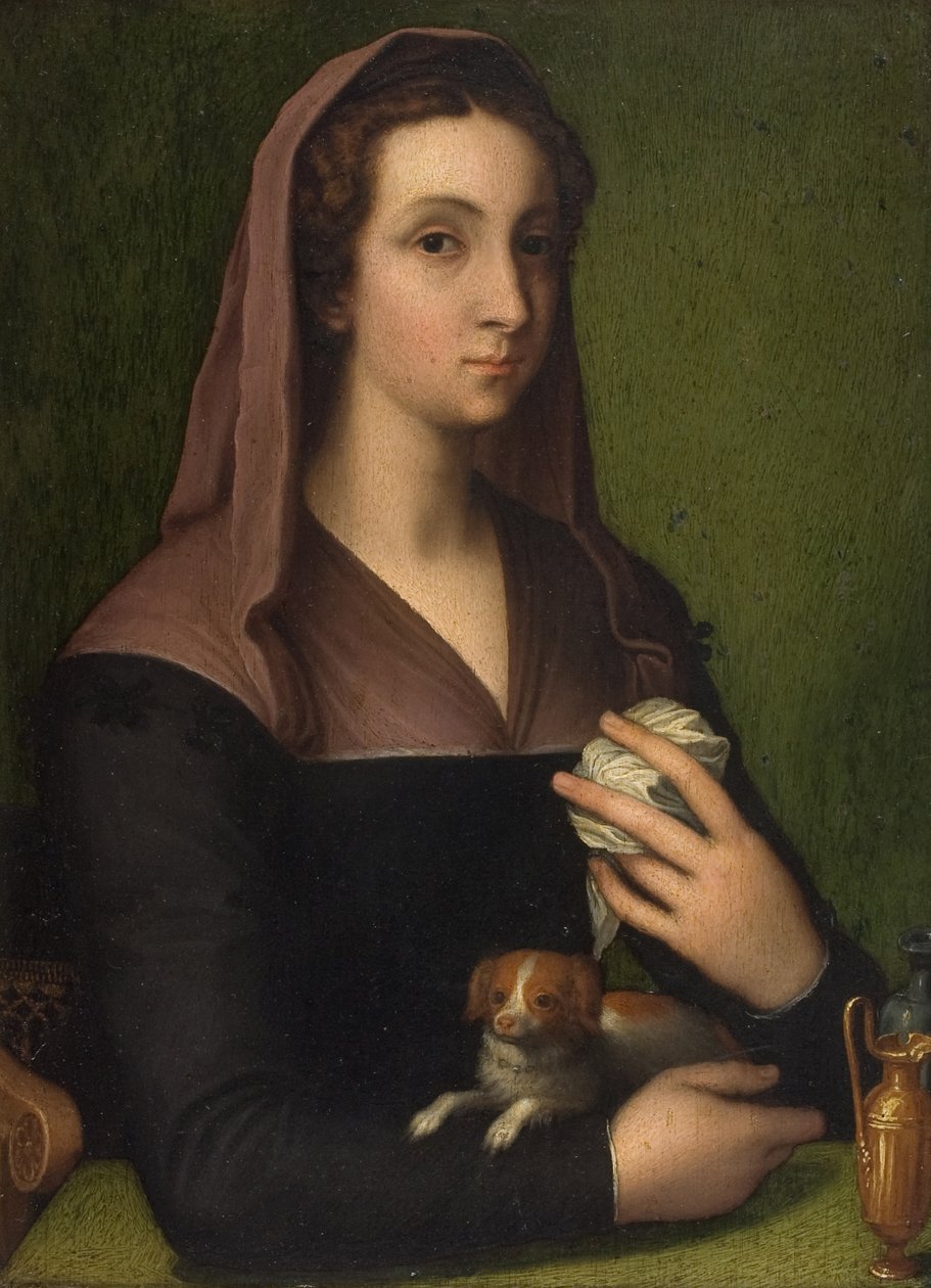 Et portrett av en dame (olje på panel) av Marcello (follower of) Venusti