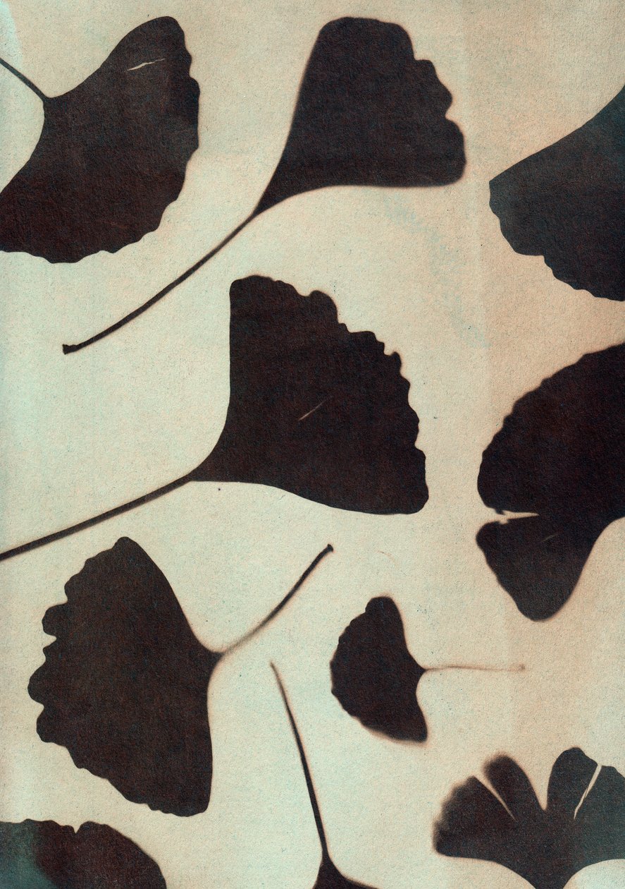  av Marco Campedelli