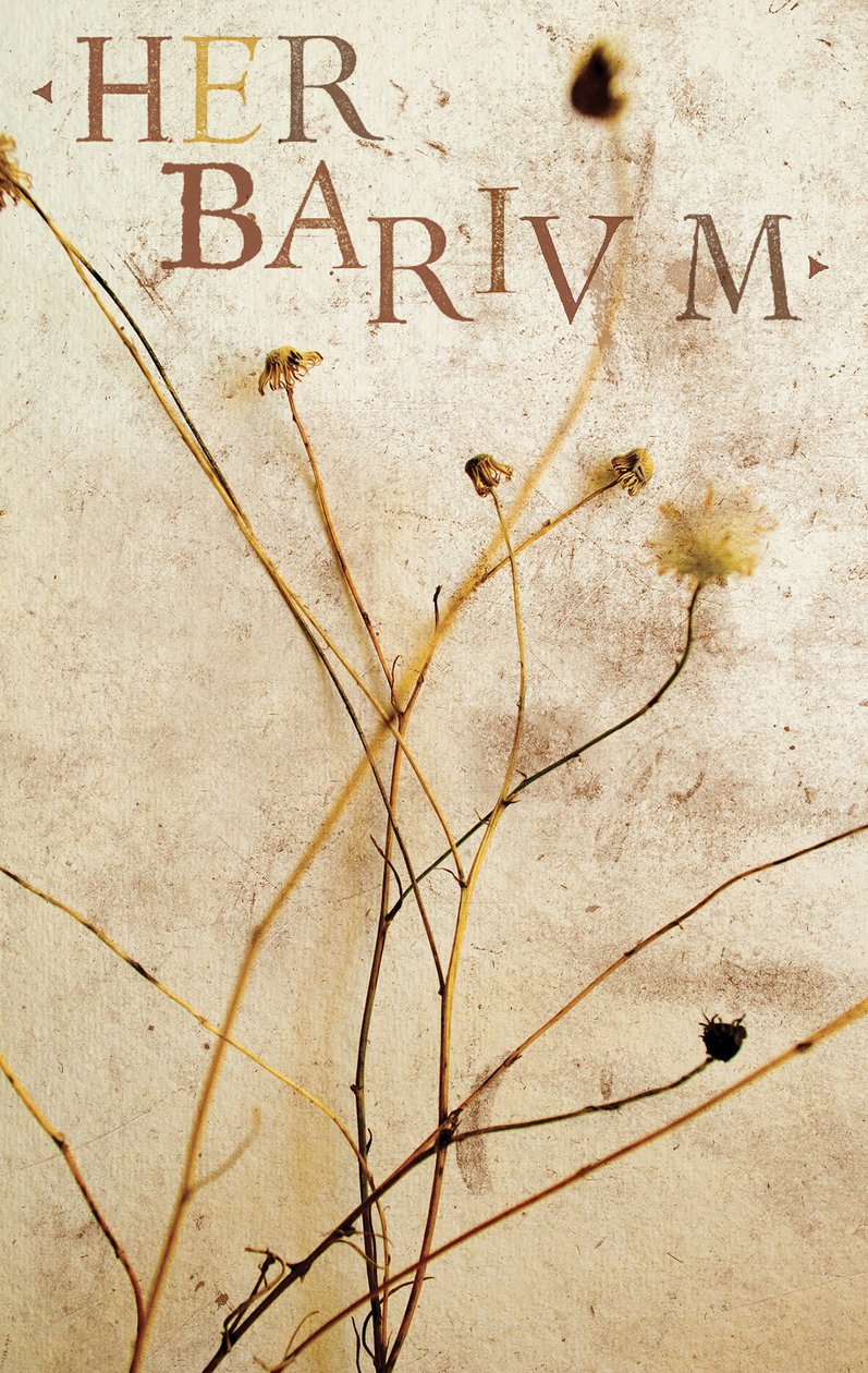  av Marco Campedelli
