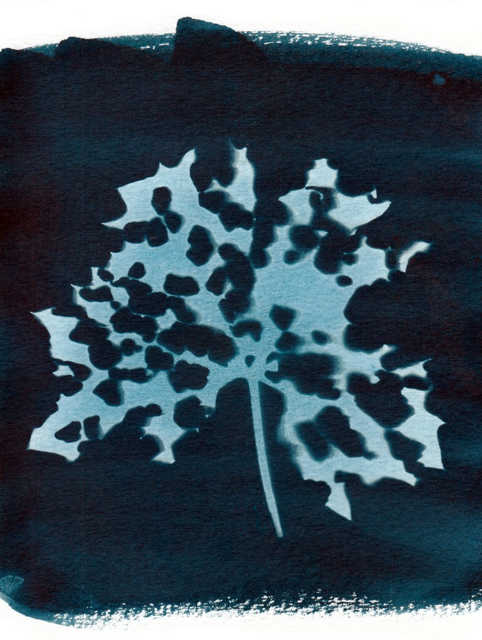  av Marco Campedelli