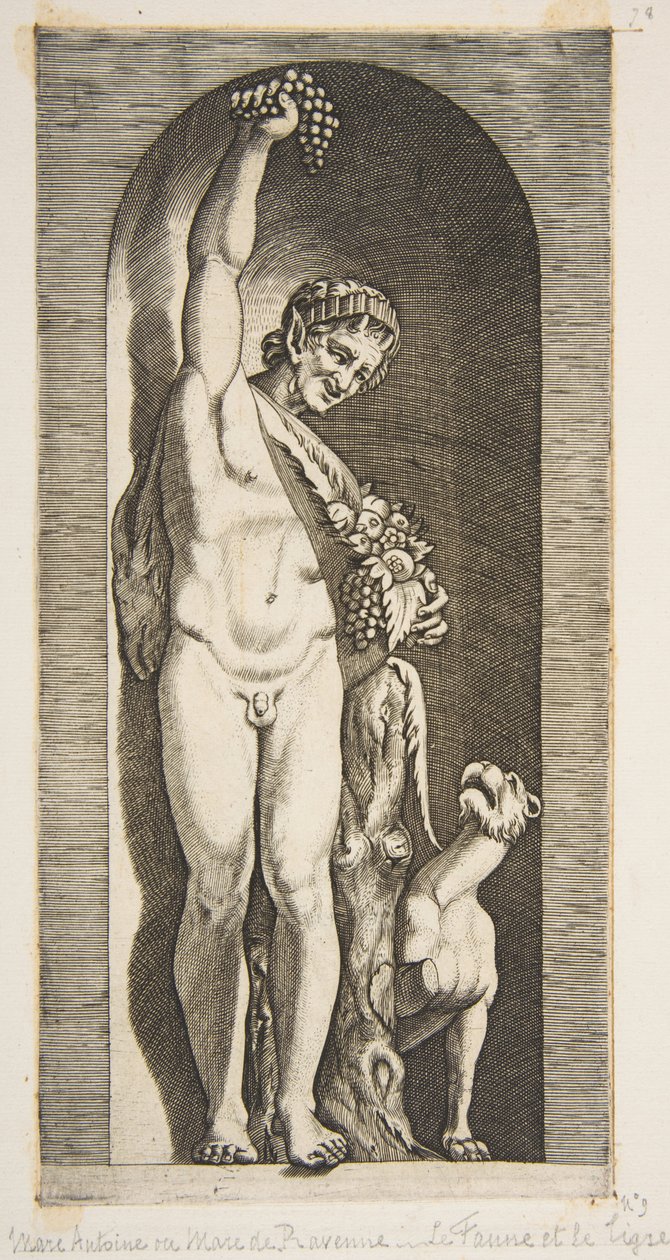 En faun som står i en nisje og holder en drueklase med høyre hånd og ..., ca. 1515-27. av Marco Dente
