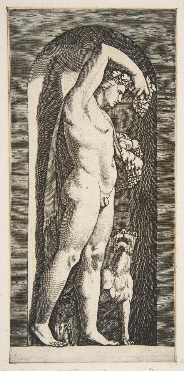 Bacchus står i en nisje og holder druer i sin løftede høyre hånd, frukt i l..., ca. 1515-27. av Marco Dente