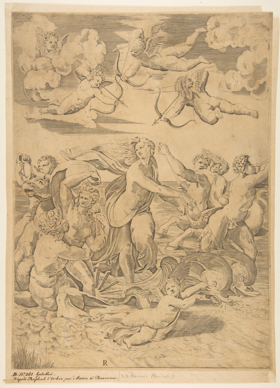 Galatea rir i et skjell trukket gjennom vannet av delfiner, en amor under og f..., ca. 1515-27. av Marco Dente