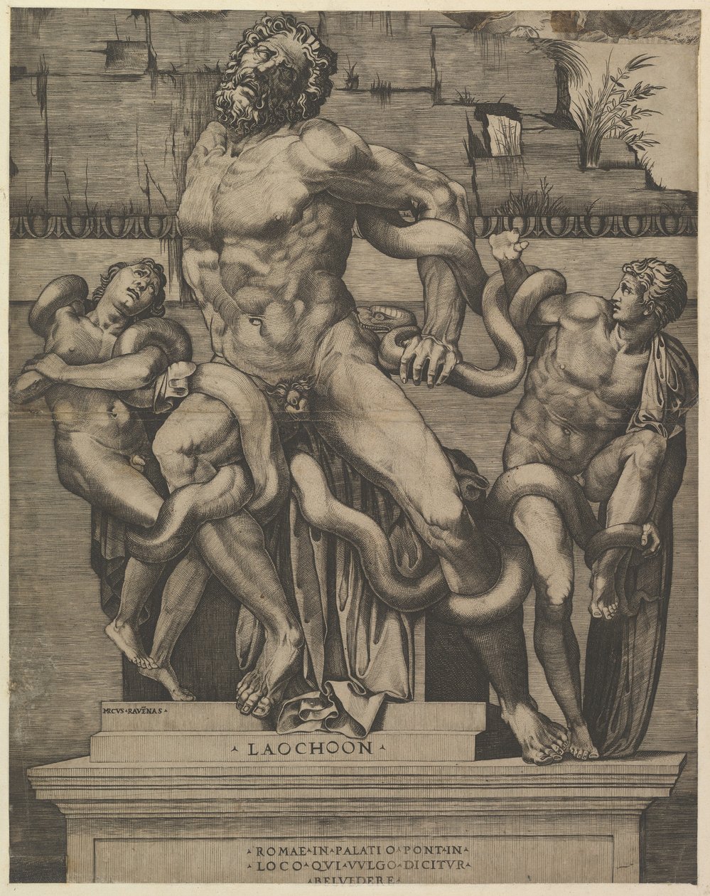 Speil av romersk storhet: Laocoon, 1500-tallet. av Marco Dente