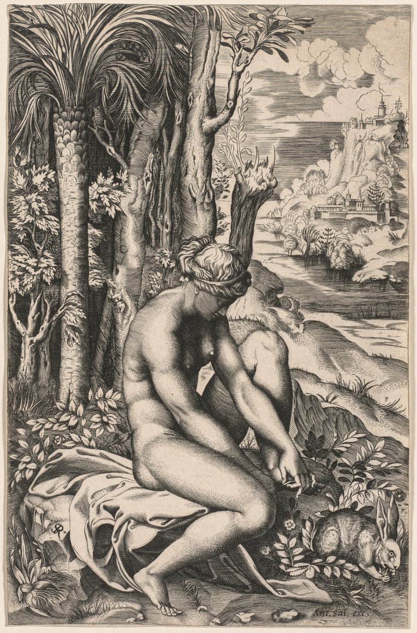 Venus såret av en rosetorn, ca. 1516. av Marco Dente
