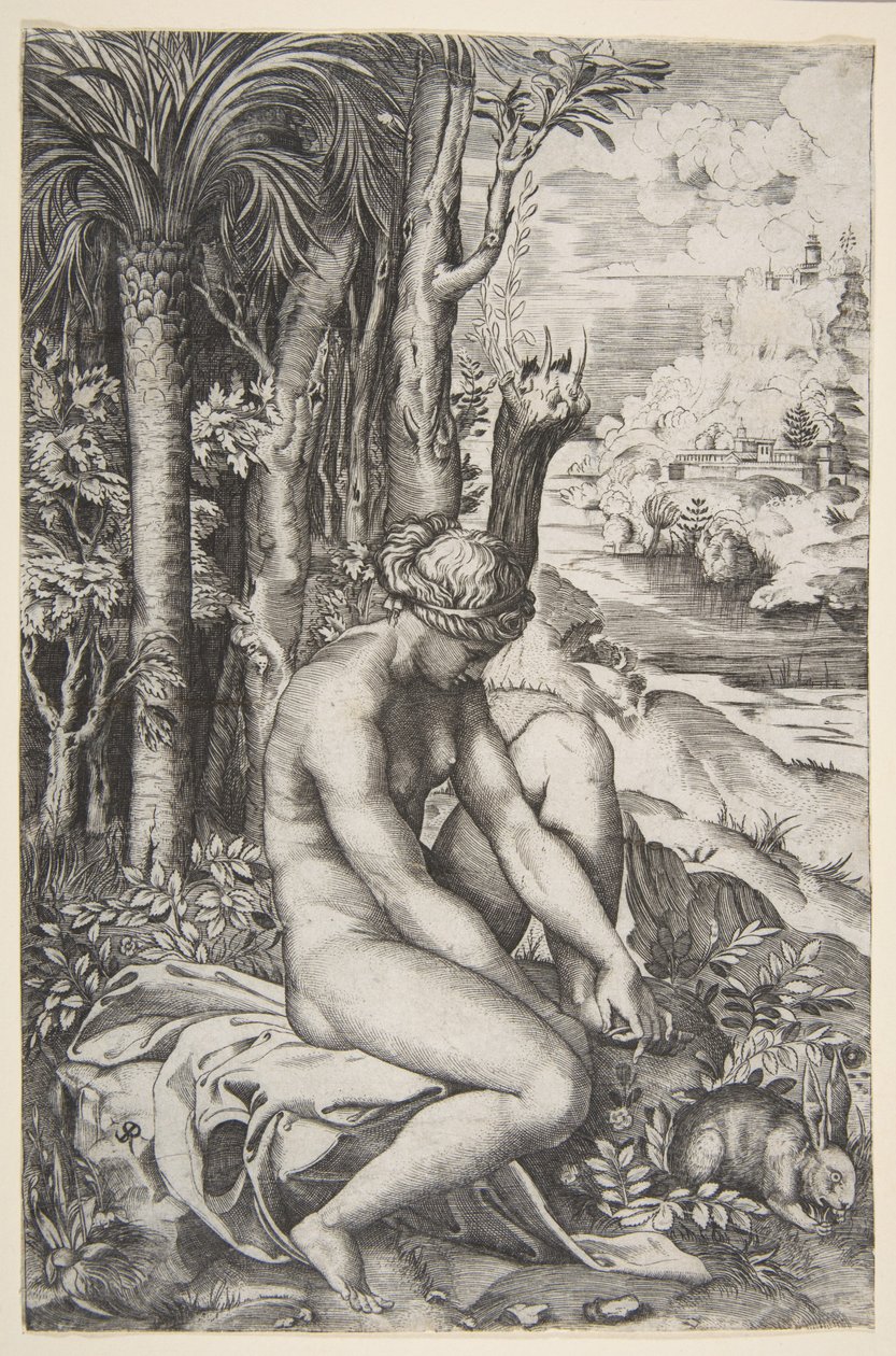 Venus fjerner en torn fra venstre fot mens hun sitter på et tøy ved siden av trær, en ..., ca. 1515-27. av Marco Dente