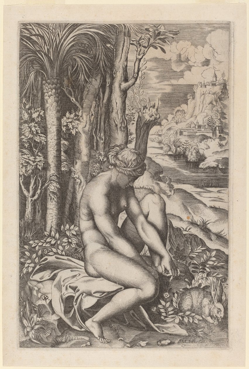 Venus trekker ut en torn fra foten hennes av Marco Dente after Raphael