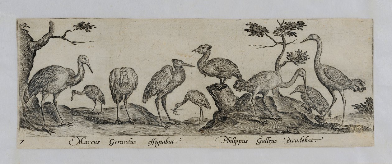 Gammel mestergravering av Marcus Gheeraerts