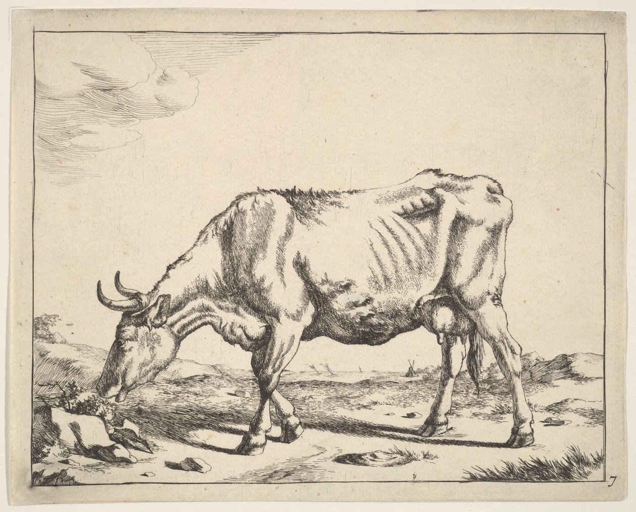 Ku, etter Paulus Potter. av Marcus de Bye