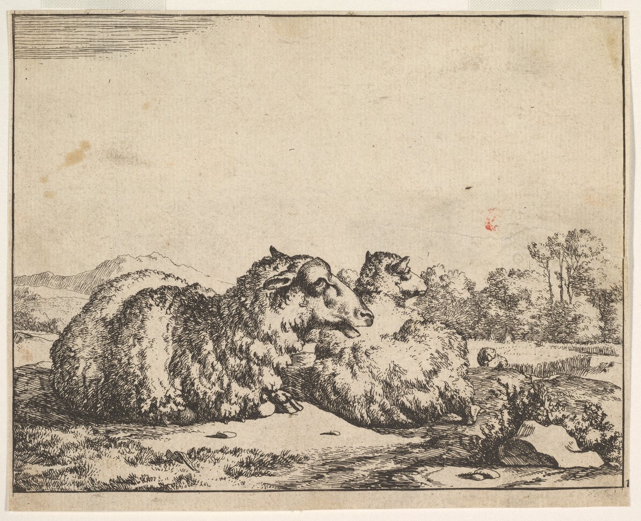 Sau, fra et sett med 16 tallerkener, 1664. av Marcus de Bye