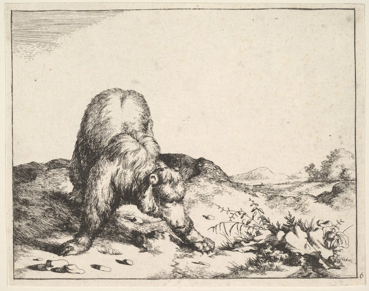 fra The Set of The Bears, ca. 1664. av Marcus de Bye