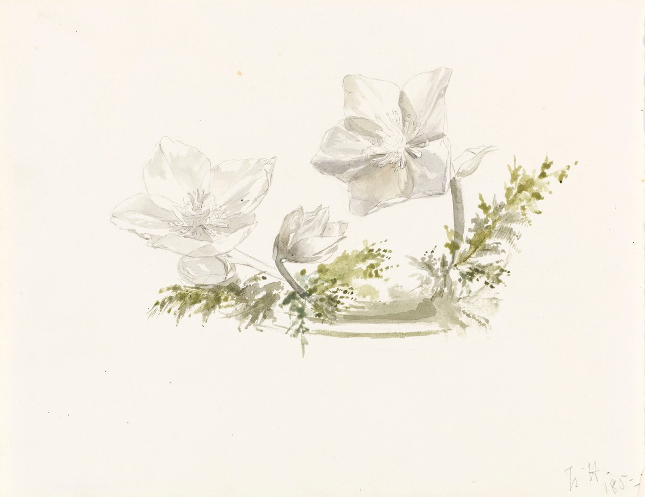  av Margaret Louisa Herschel