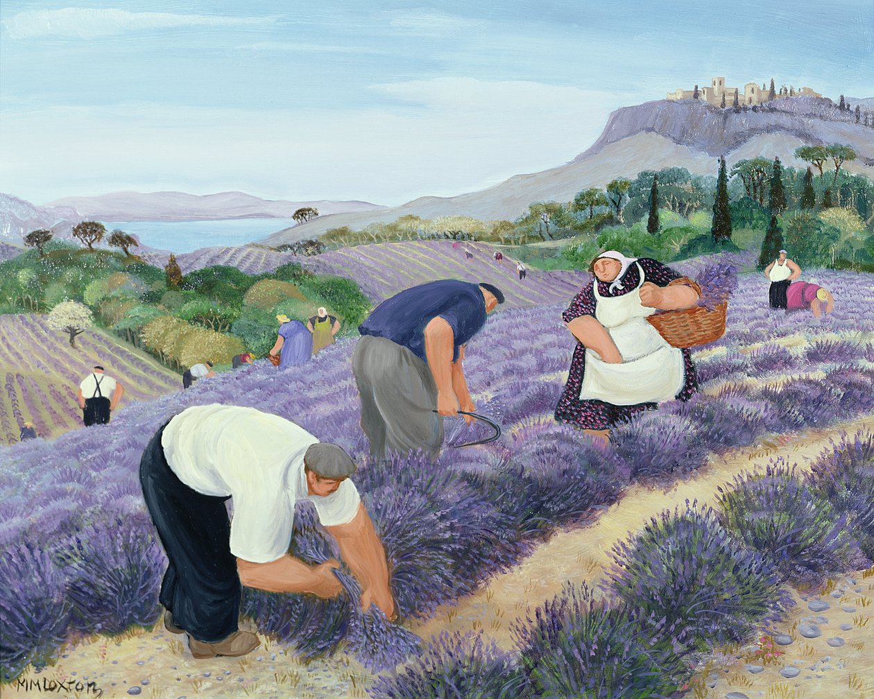 Lavendel av Margaret Loxton