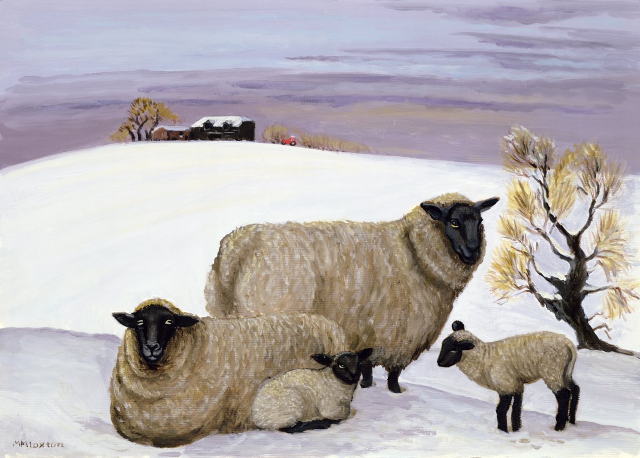 Sau om vinteren av Margaret Loxton