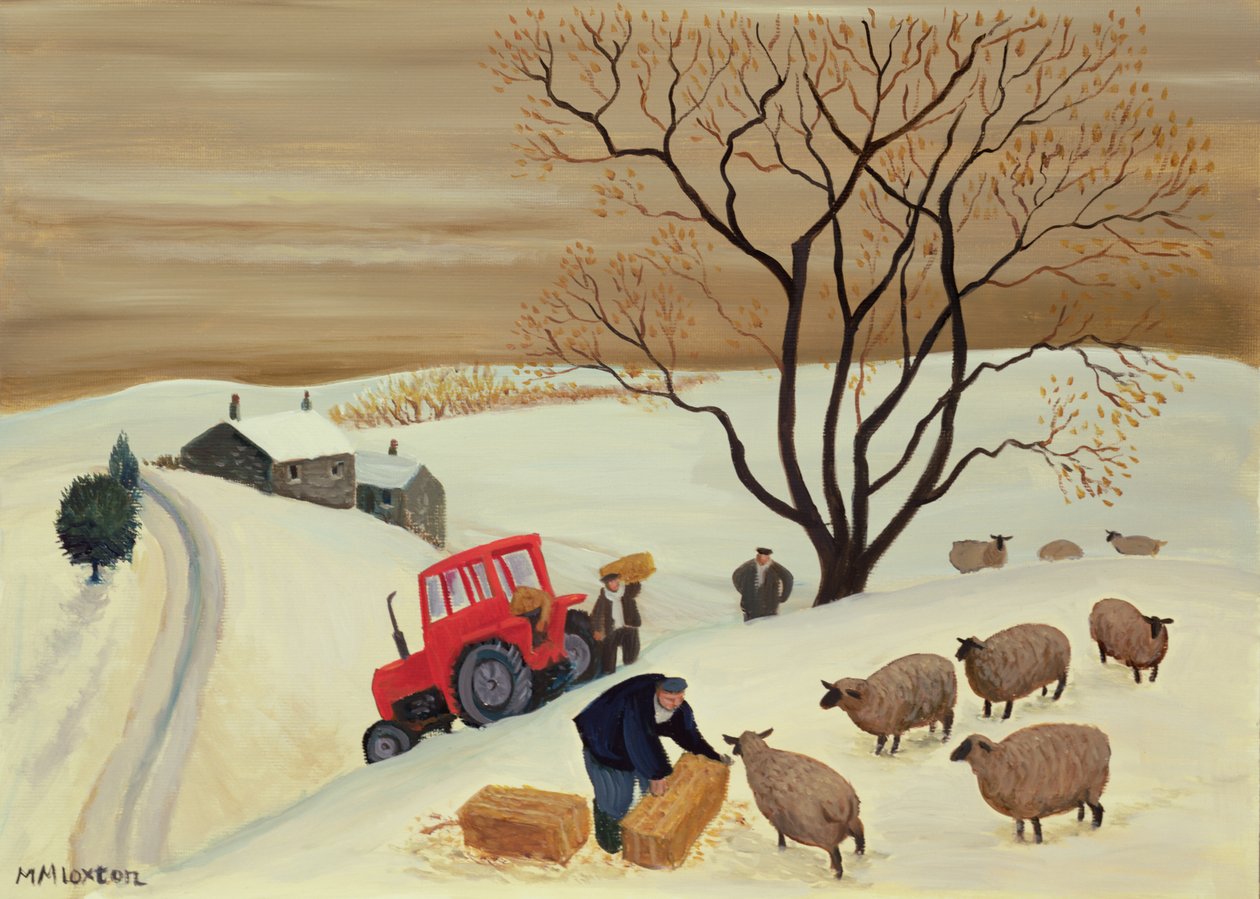 Ta høy til sauene med traktor av Margaret Loxton