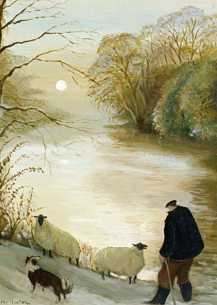 Den herreløse sauen av Margaret Loxton