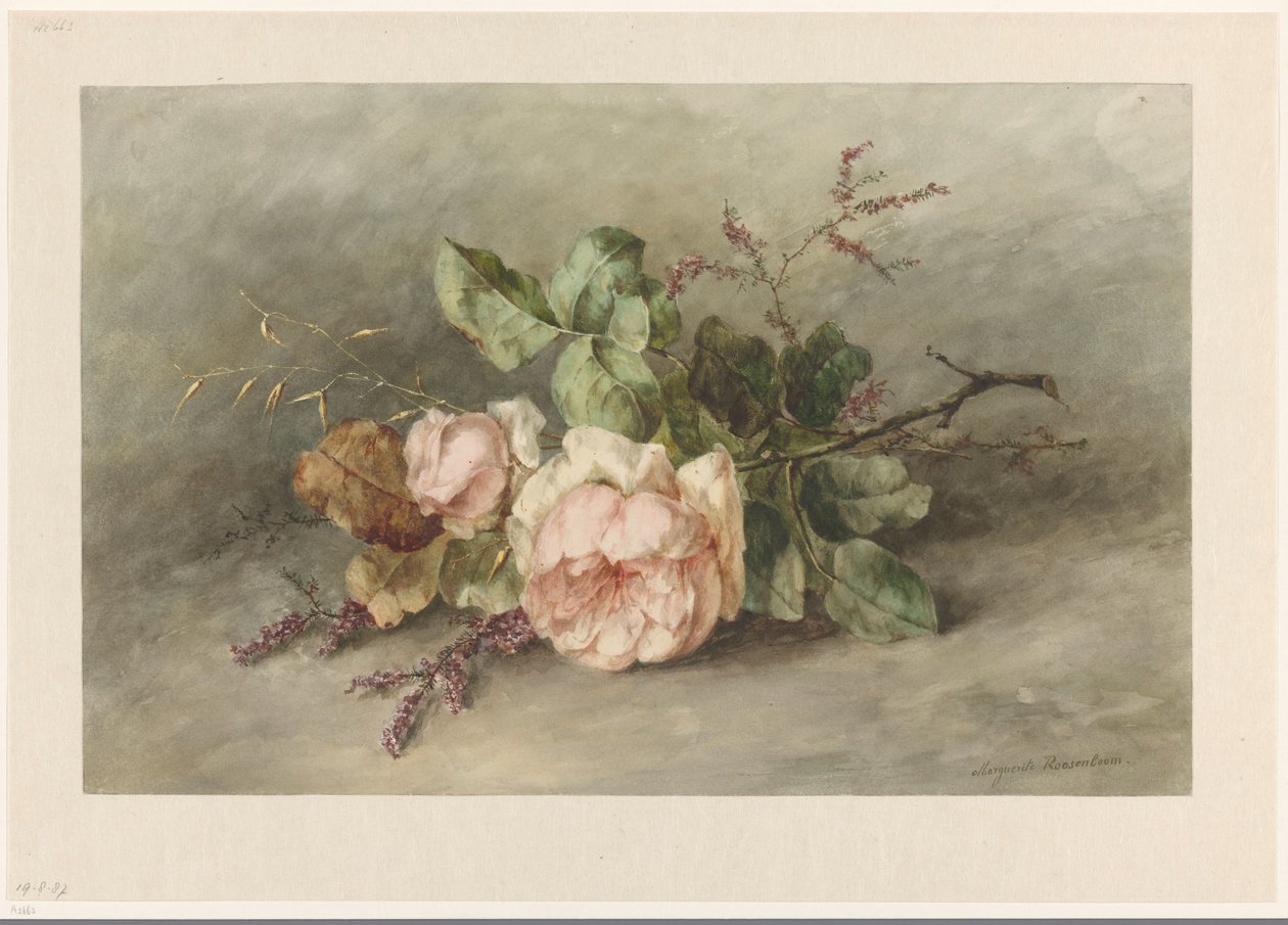 roser av Margaretha Roosenboom