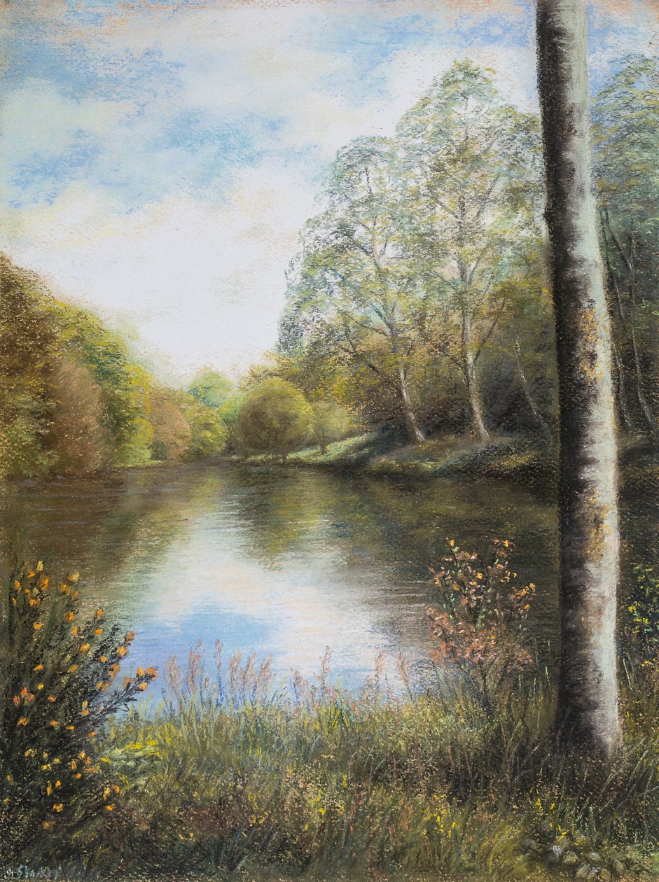 River Dart Devon av Margo Starkey