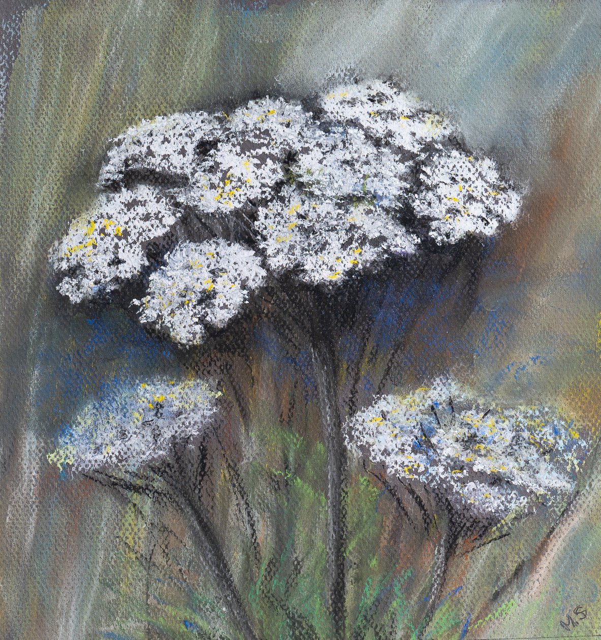 Kupersille (Anthriscus Sylvestris), 2021 (pastell) av Margo Starkey