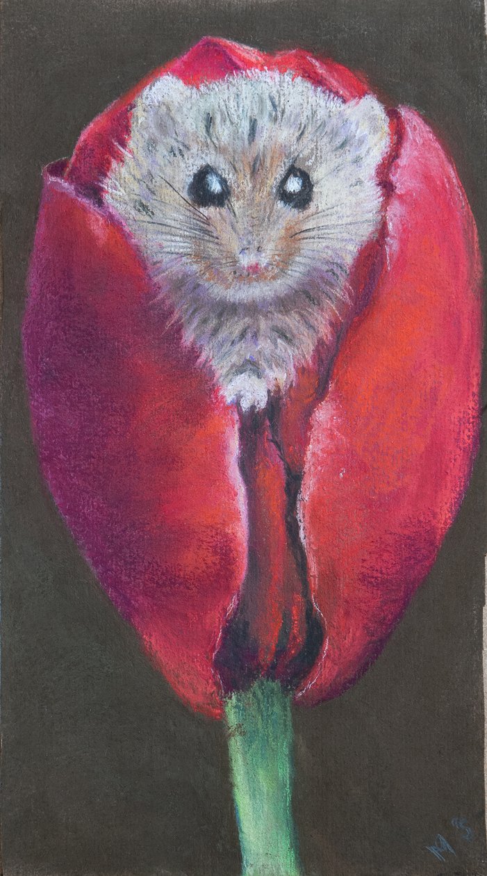Dørmus i tulipan, 2022 (pastell) av Margo Starkey