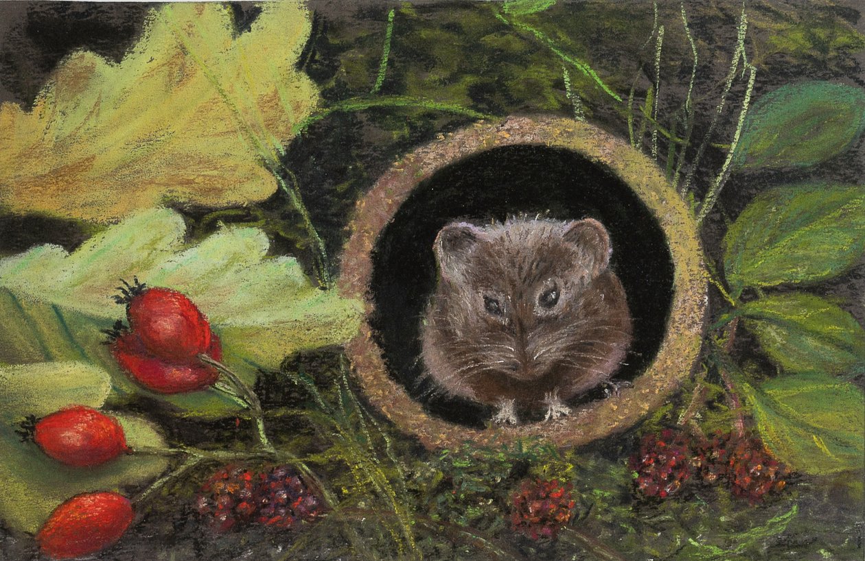 Feltmus i avløpsrør, 2020 (pastell) av Margo Starkey