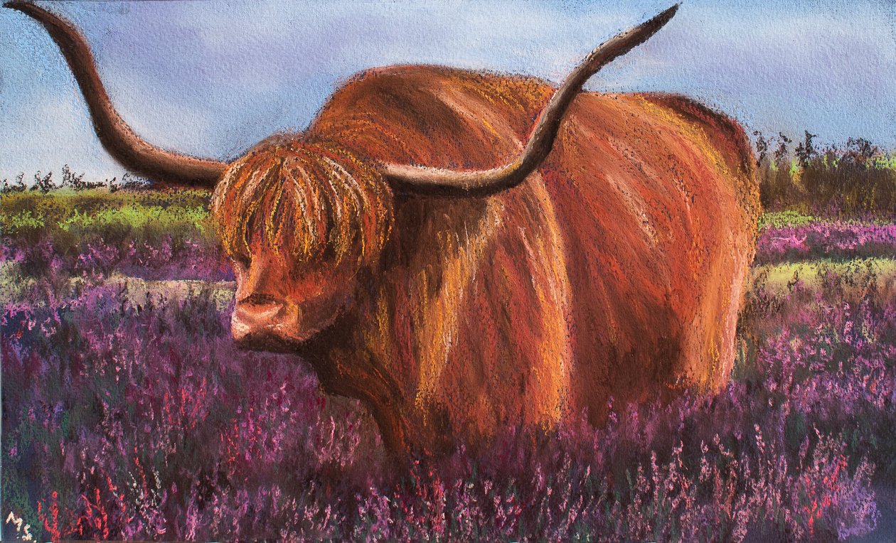 Highland Bull i Scottish Heather, 2018 (pastell) av Margo Starkey