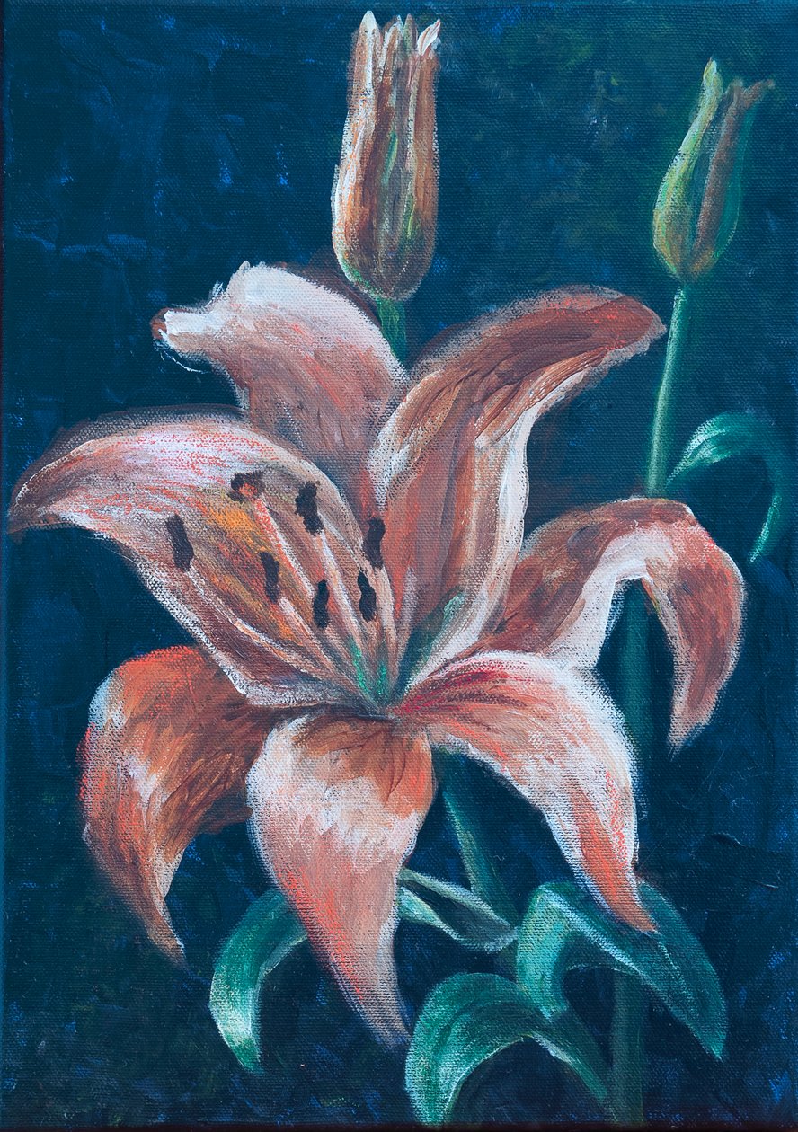 Orange Lily, 2022 (pastell) av Margo Starkey