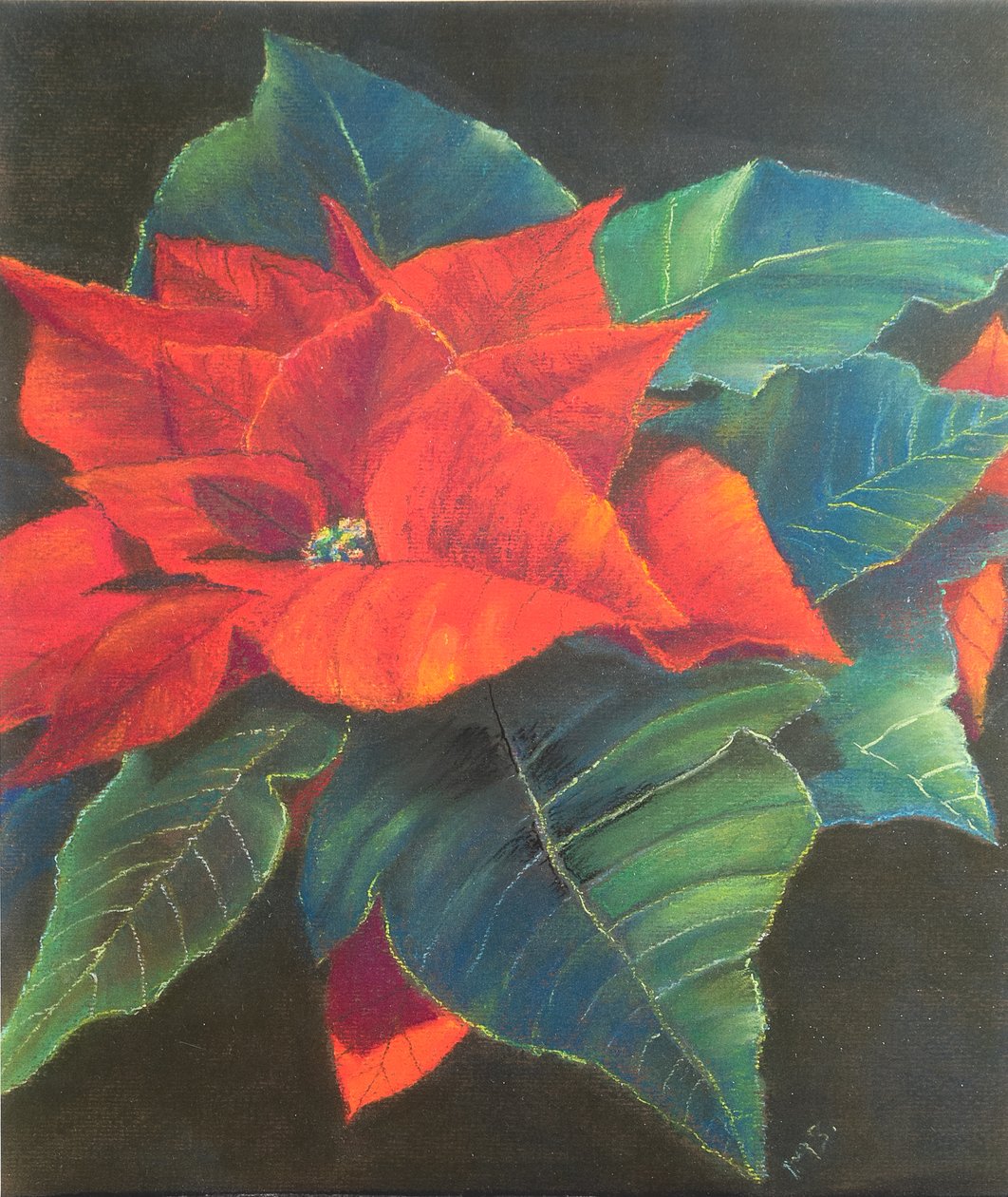 Julestjerne, 2022 (pastell) av Margo Starkey