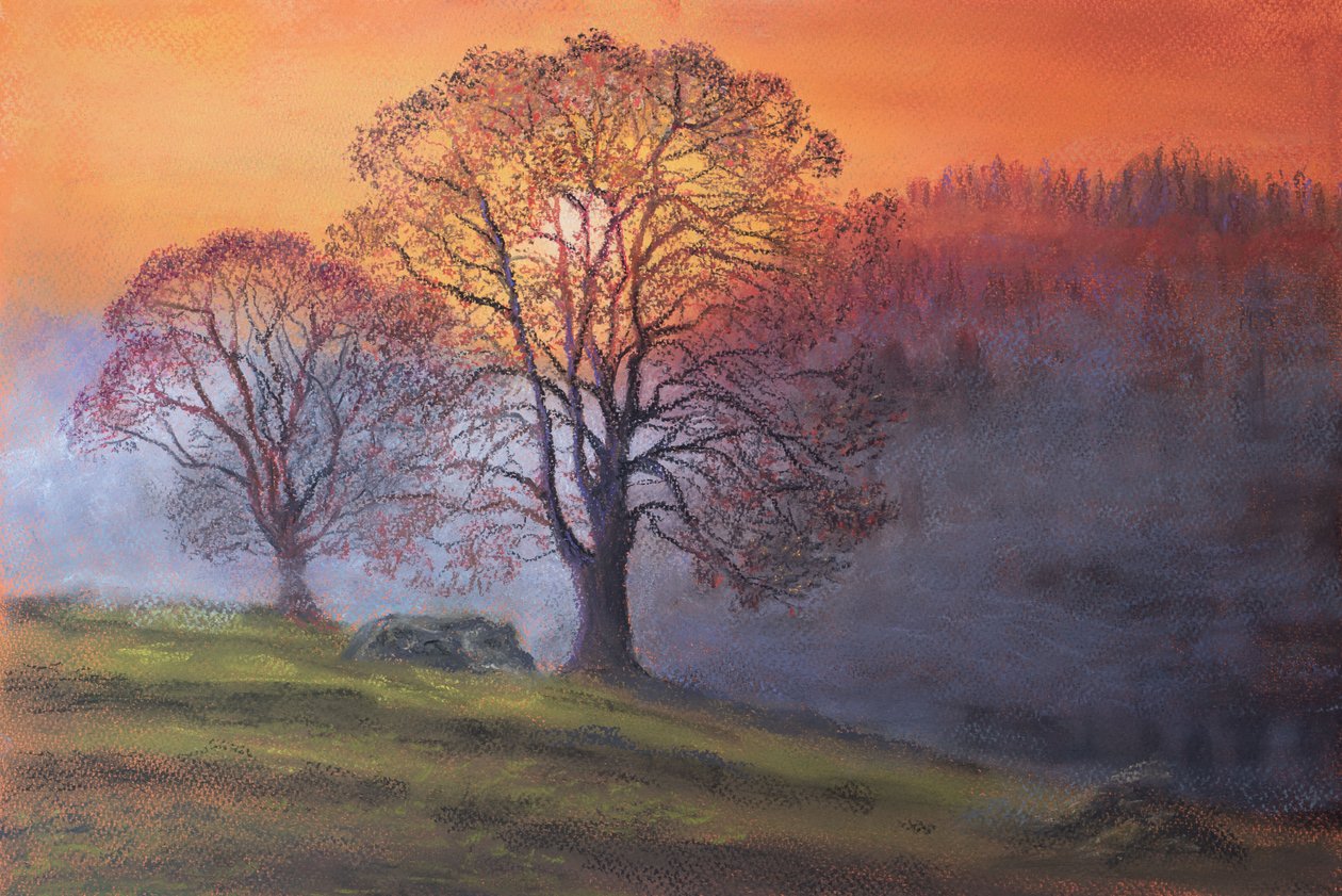 Sol gjennom tidlig tåke, 2020 (pastell) av Margo Starkey